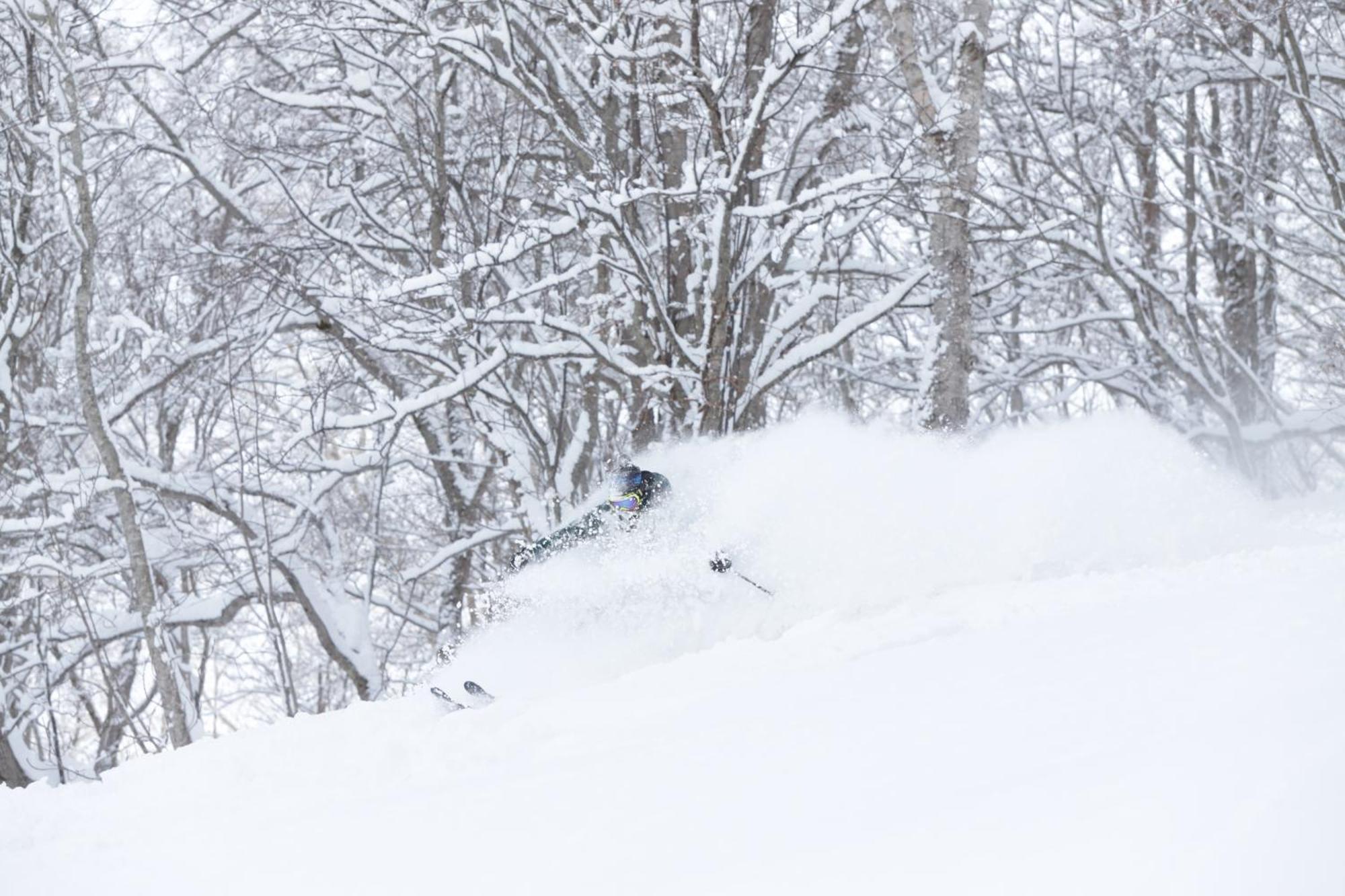 Niseko Highland Cottages Екстер'єр фото