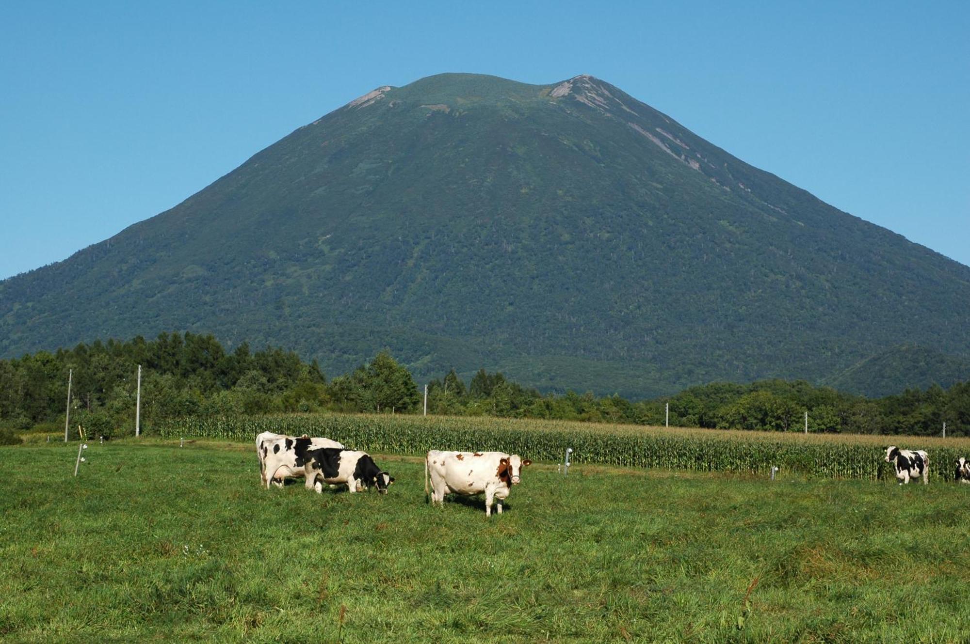 Niseko Highland Cottages Екстер'єр фото
