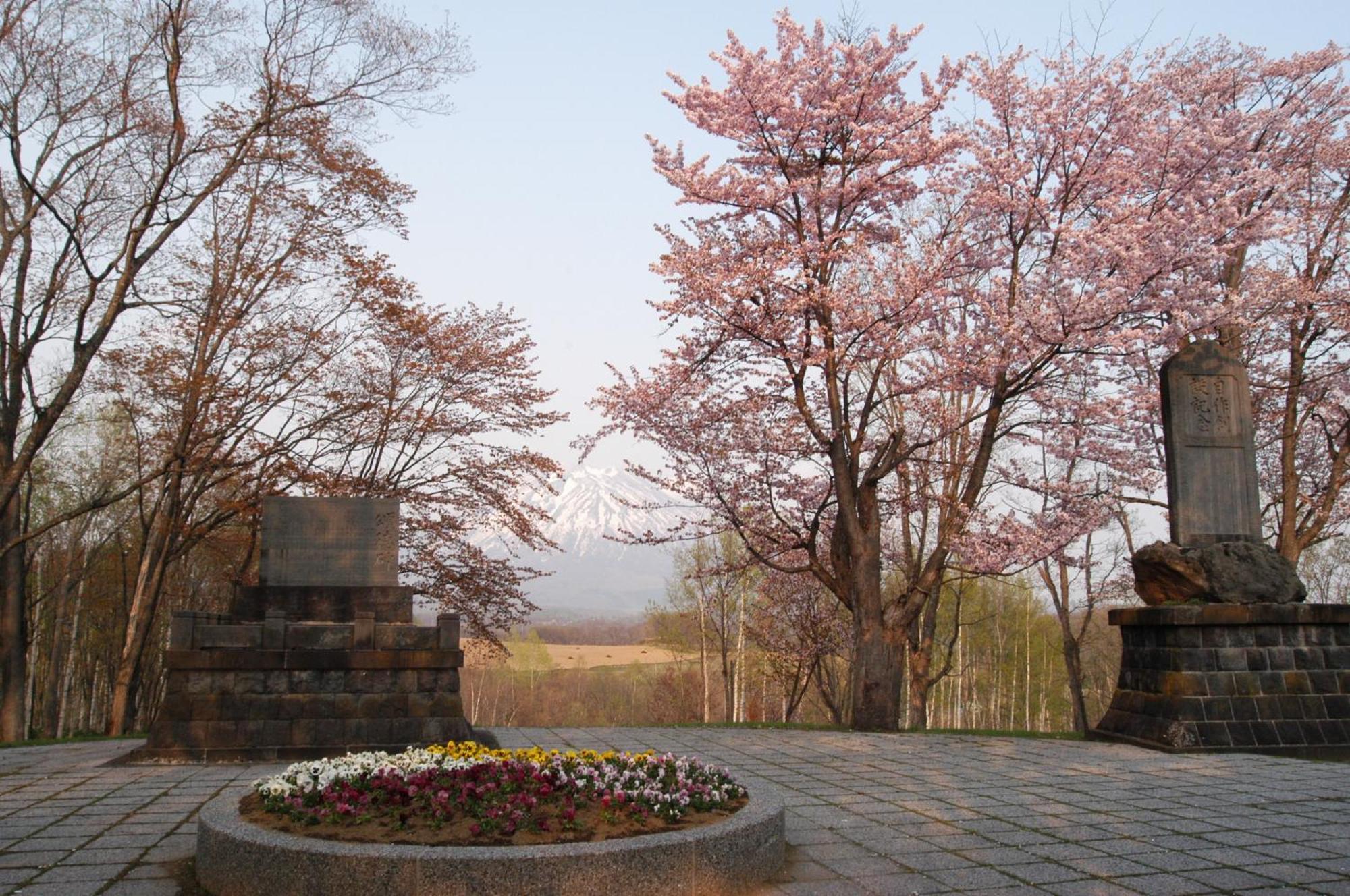 Niseko Highland Cottages Екстер'єр фото